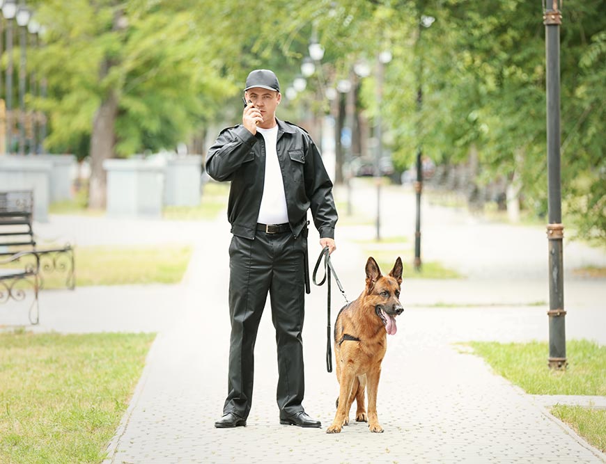 Agent de sécurité conducteur <br>de chien